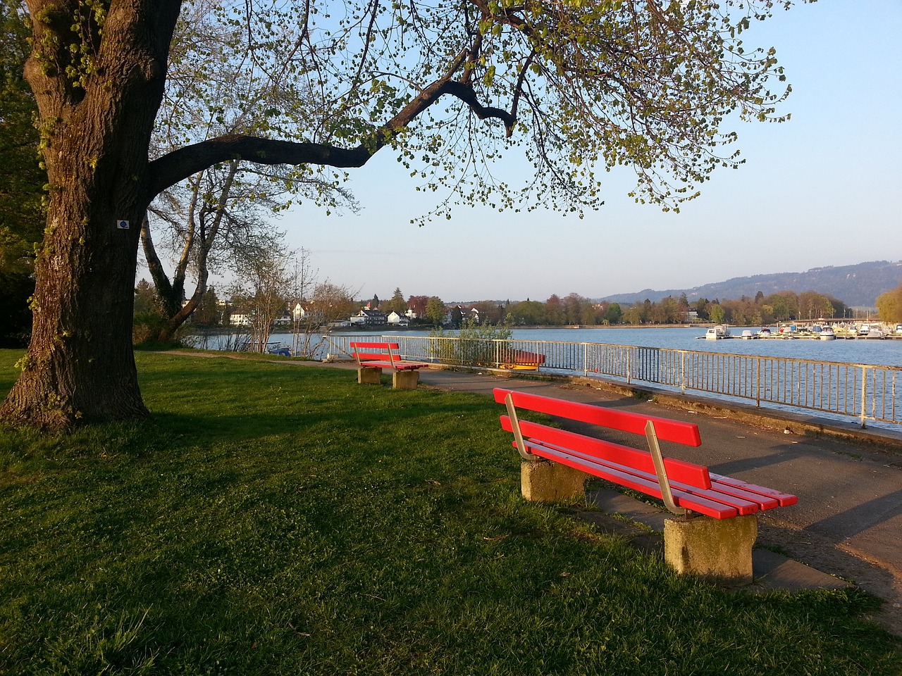 个顶尖篮球 个顶尖篮球