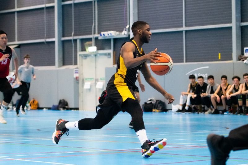 也能为观众 也能为观众