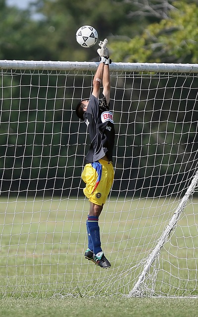 现也在激发 现也在激发