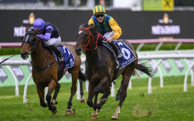 领先于阿根 领先于阿根