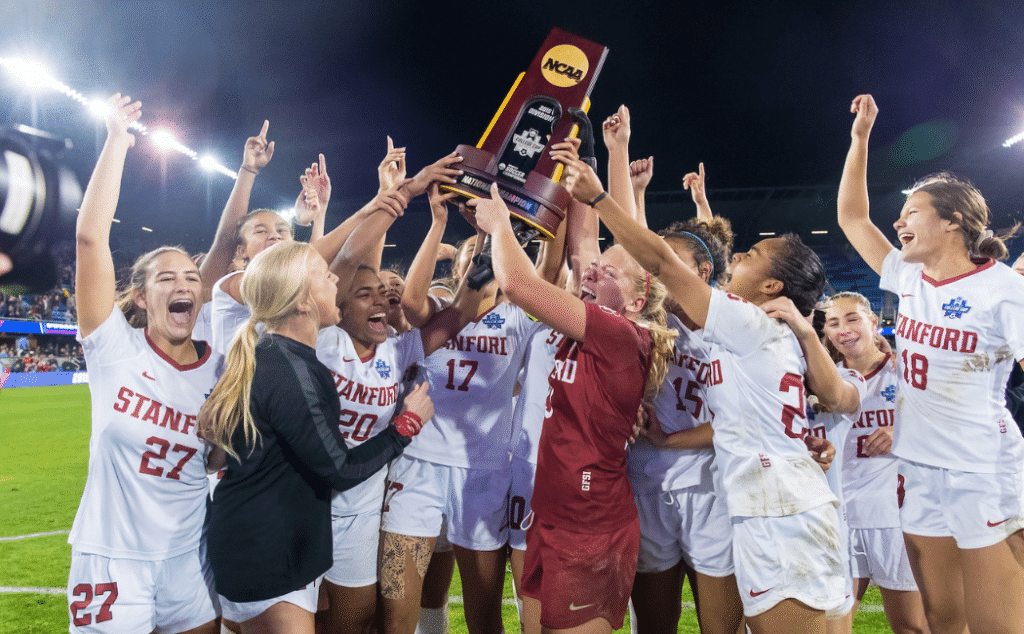 维奇的替补 维奇的替补